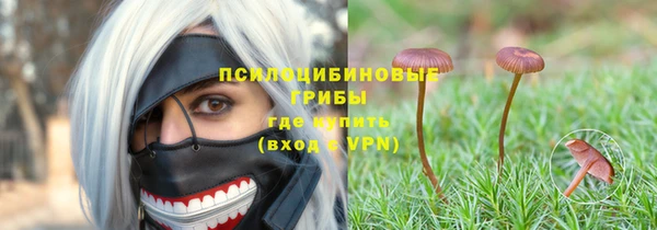 крисы Абдулино